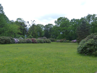 2016-05-14 Treffen Dresden Rhododendronpark Wachwitz 8.jpg