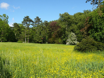 P1260856_800.jpg