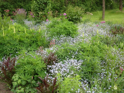 Connis Garten_3485.jpg