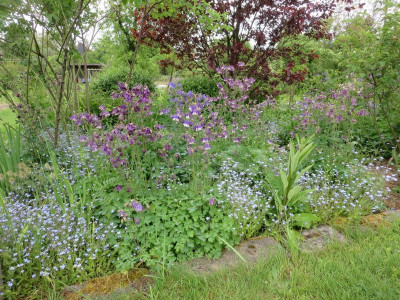 Connis Garten_3481.jpg