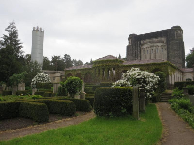 Urnenfriedhof Tolkewitz_3491.jpg