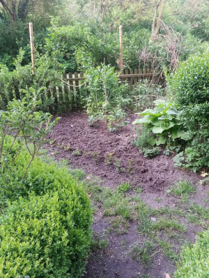 20160518_074323.jpg