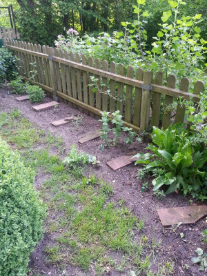 20160518_074344.jpg