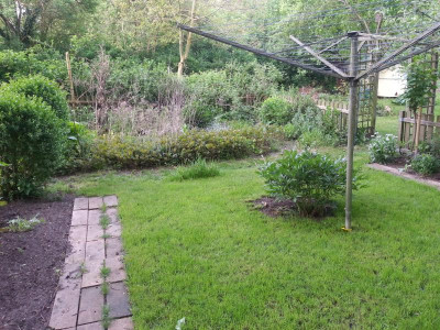 20160518_074430.jpg