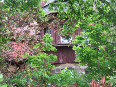 Stadtteil Weißer Hirsch_3507.jpg
