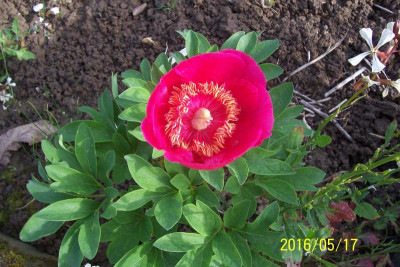 100_6339.JPG