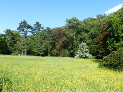 2016-05-14 Treffen Dresden Schlosspark Eckberg 6.jpg