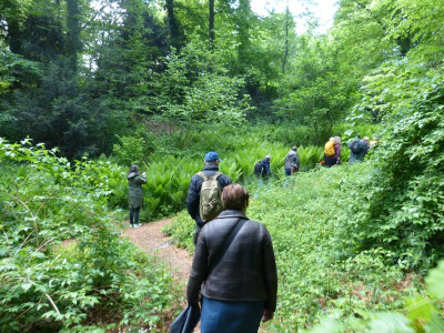 2016-05-14 Treffen Dresden Schlosspark Eckberg 7.jpg