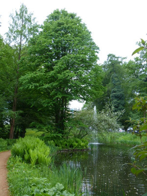 2016-05-14 Treffen Dresden Schlosspark Eckberg 8.jpg