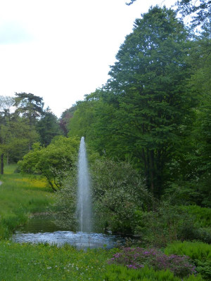 2016-05-14 Treffen Dresden Schlosspark Eckberg 10.jpg