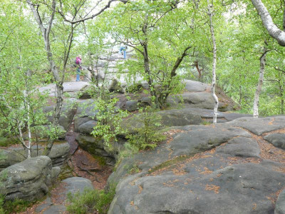 P1190364.JPG