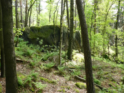 P1190443.JPG