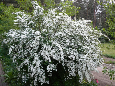 P1190597.JPG