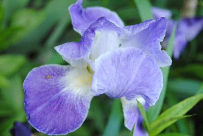 mai 033.jpg