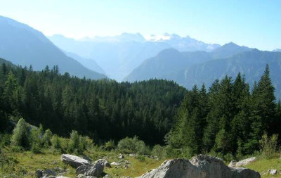 DSCN7474_kl.jpg