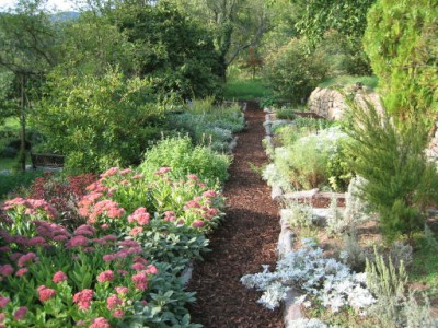 Garten_Sammelgarten_20060924.jpg