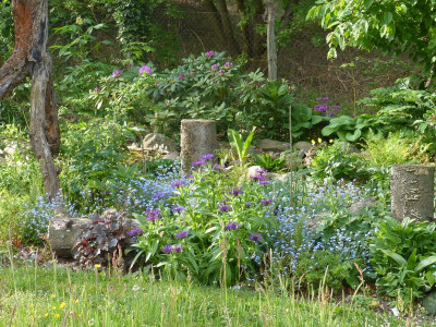 2016-05-21 Garteneinblick 6.jpg