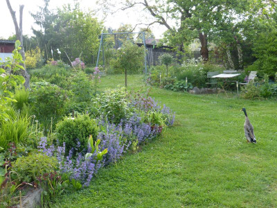 2016-05-21 Garteneinblick 1.jpg