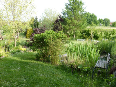 2016-05-21 Garteneinblick 3.jpg