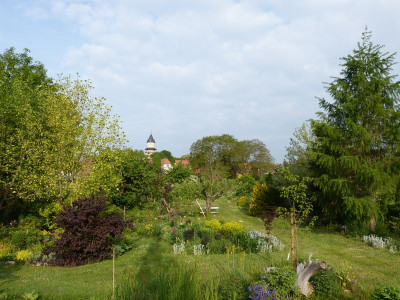 2016-05-21 Garteneinblick 4.jpg