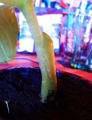20160520_003.jpg