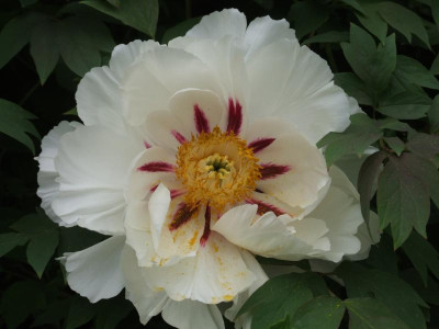 DSCF3027.JPG