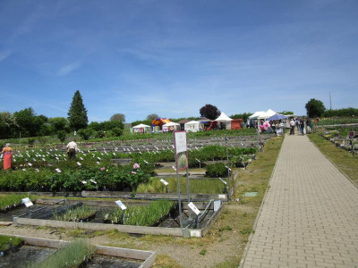 IMG_5405.JPG