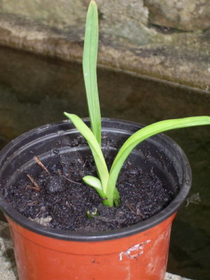 Experiment_Stufe_3.jpg