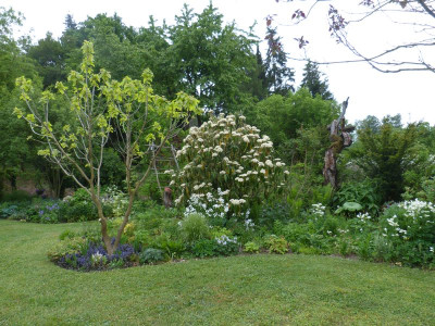 2016-05-23 Garteneinblick 2.jpg