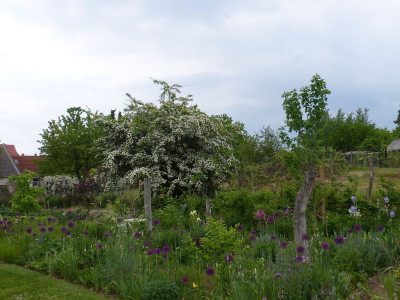 2016-05-23 Garteneinblick 3.jpg