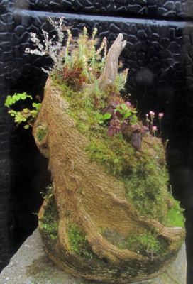 Cephalotustower.jpg