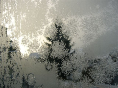 P1020768.JPG