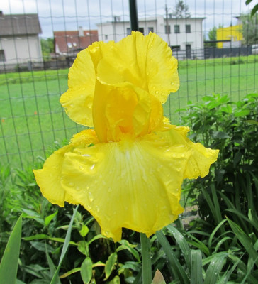 Jeanne Price small IMG_0711.jpg