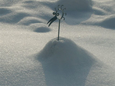 Vogel_im_Schnee_1.jpg