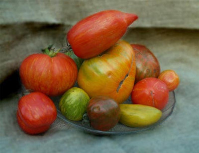 streifchen.jpg