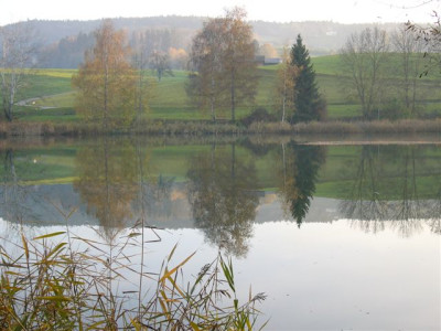 Bettenauer_Weiher_13.11.05_005.jpg