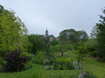 2016-05-24 Garteneinblick 3.jpg