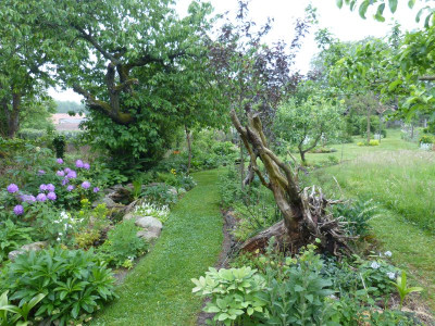 2016-05-24 Garteneinblick 6.jpg