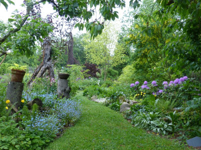 2016-05-24 Garteneinblick 7.jpg