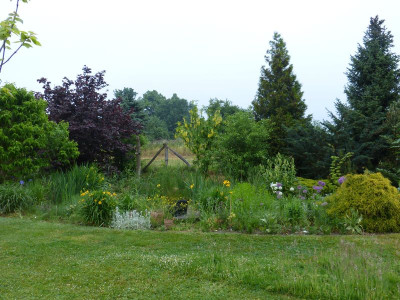 2016-05-24 Garteneinblick 8.jpg