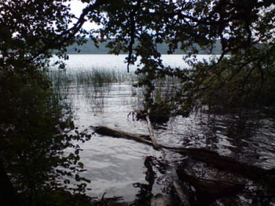 maria_laach_6.kleinJPG.JPG