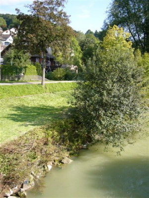 P1030645.JPG