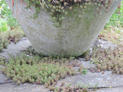 DSCN4250.JPG