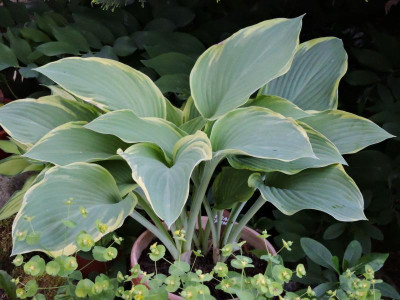 DSCN4272.JPG