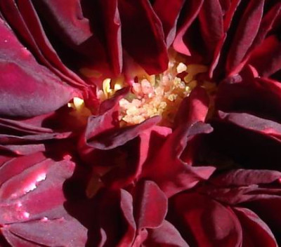 Astrid090612.jpg