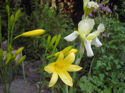 PICT1175.JPG