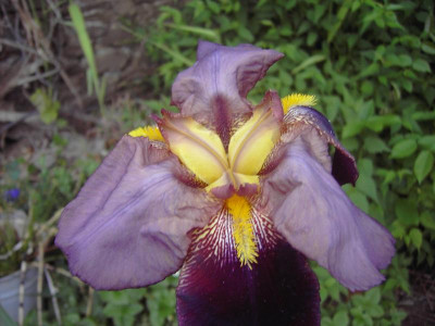 PICT1145.JPG