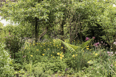 20160525Garten-1.jpg