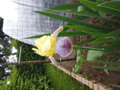 P1020104.JPG