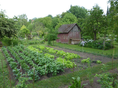 2016-05-27 Gemüsegarten.jpg